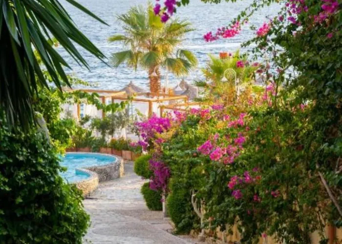 Valentino Lejlighed *