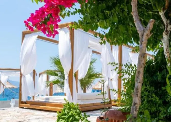 Valentino Lejlighed Gjashtë